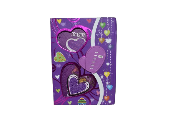 Lock Diary PW (1320 )