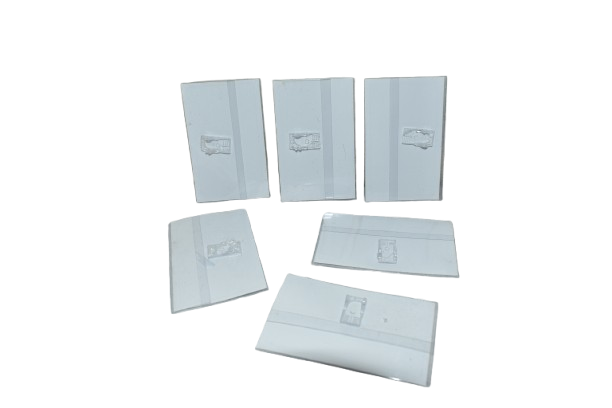 Name Bach Cover (PVC)