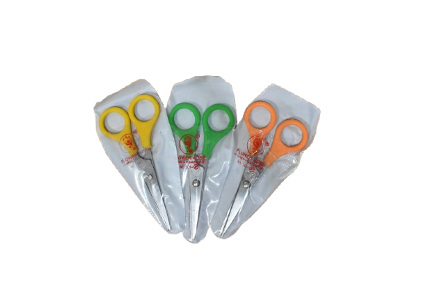 SSS Thai Scissors