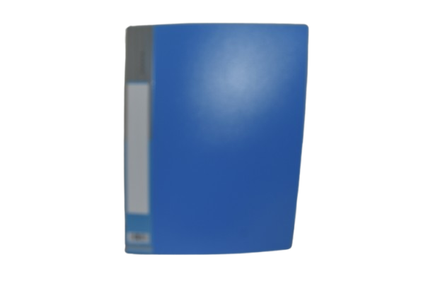 Display File (FC 40)