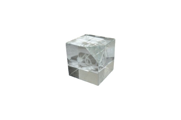 Paper Weight (Cristal)