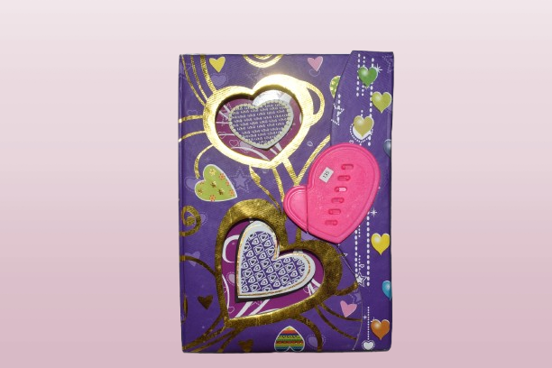 Lock Diary PW (1320 )